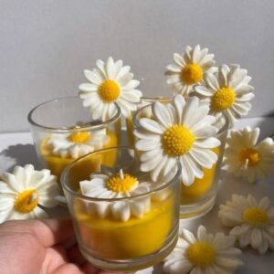 Madeliefje bloem