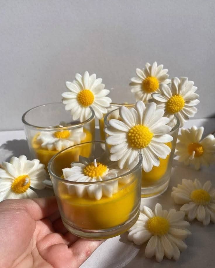 Madeliefje bloem